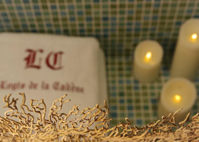 Logis De La Cadene Pensión 4*