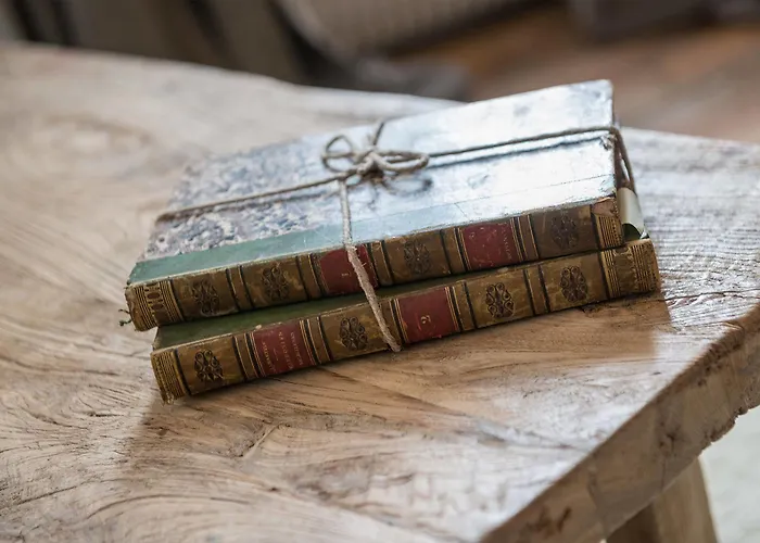 Pensión Logis De La Cadene 4*